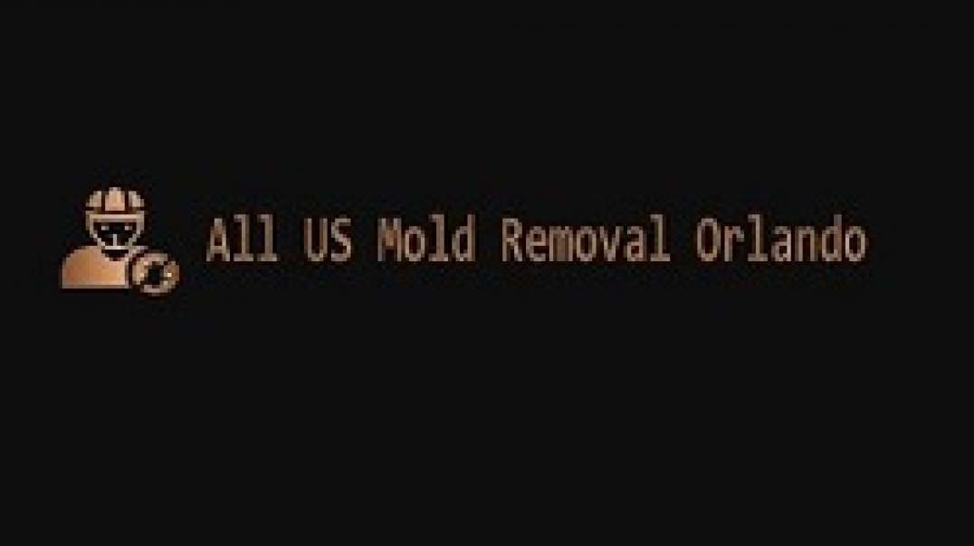 Mold Inspection & Mold Removal Orlando FL | Call (321) 204-0686