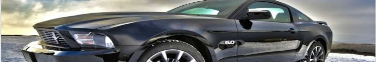 Car Insurance Warren MI