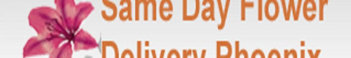 Same Day Flower Delivery Phoenix AZ - Send Flowers