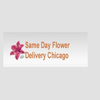 Same Day Flower Delivery Chicago IL - Send Flowers