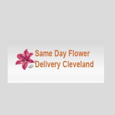 Same Day Flower Delivery Cleveland OH