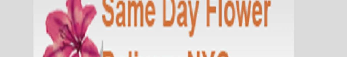 Same Day Flower Delivery Brooklyn NY - Send Flowers