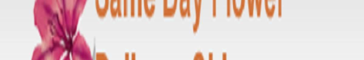 Same Day Flower Delivery Chicago IL - Send Flowers