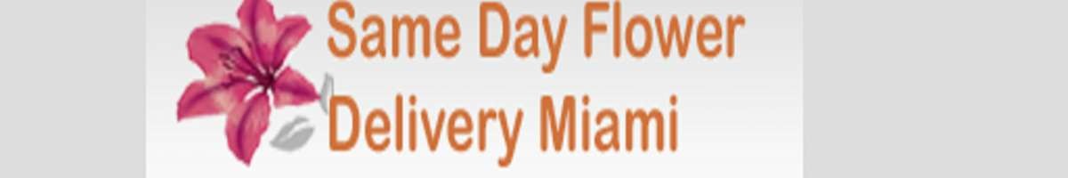 Same Day Flower Delivery Miami FL - Send Flowers