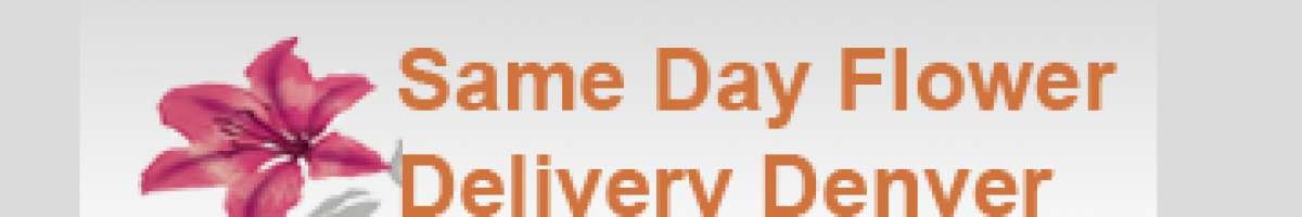 Same Day Flower Delivery Denver CO - Send Flowers