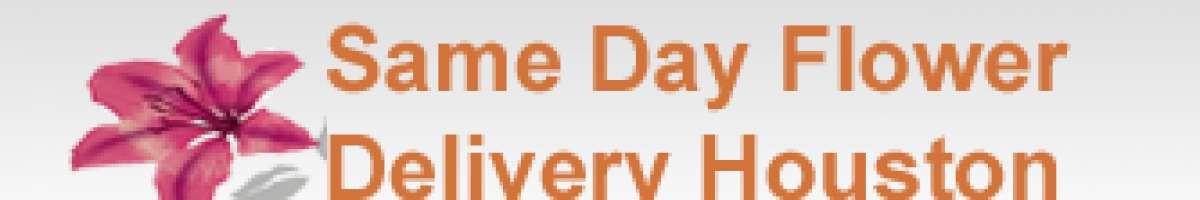 Same Day Flower Delivery Houston TX - Send Flowers
