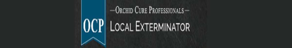 OCP Bee Removal Fort Worth TX - Bee Exterminator