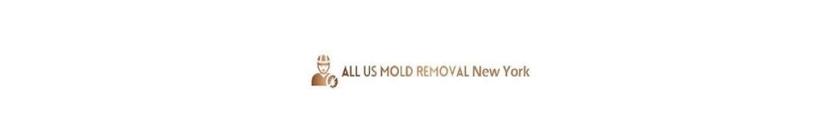 moldremovalnyc