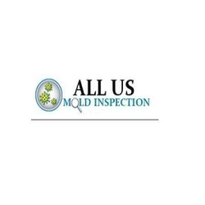 Mold Inspection Indianapolis - The Kelly