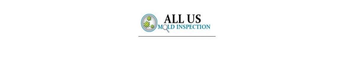 Mold Inspection Indianapolis - The Kelly