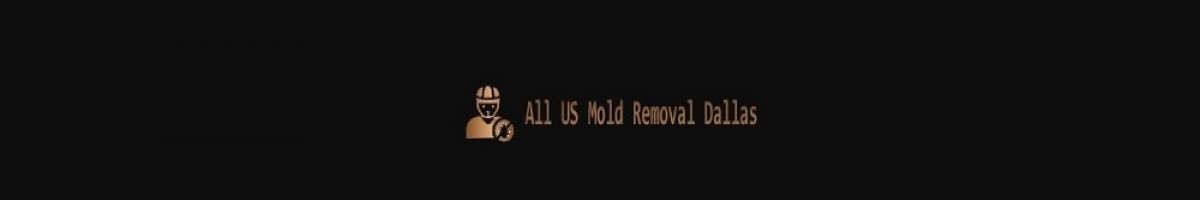 Get In Mold Removal Dallas - Mold Remediation Service