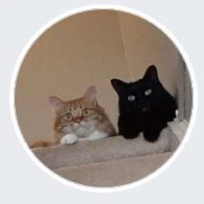 Franklin And Ollie