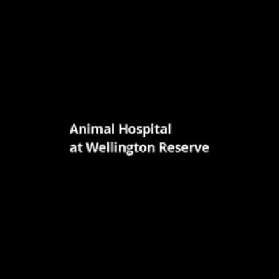 Mywellington vet