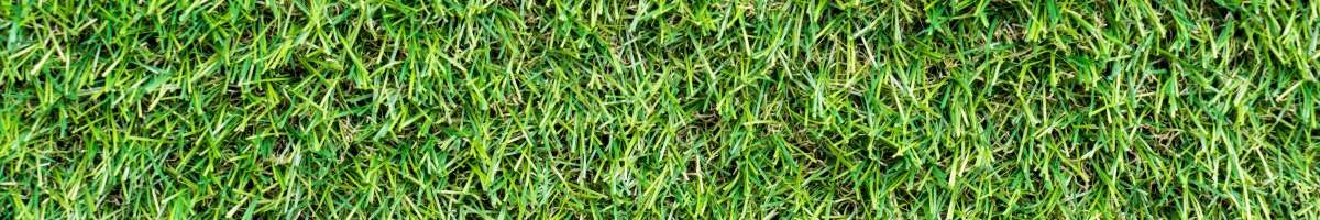 Southwest Greens Florida