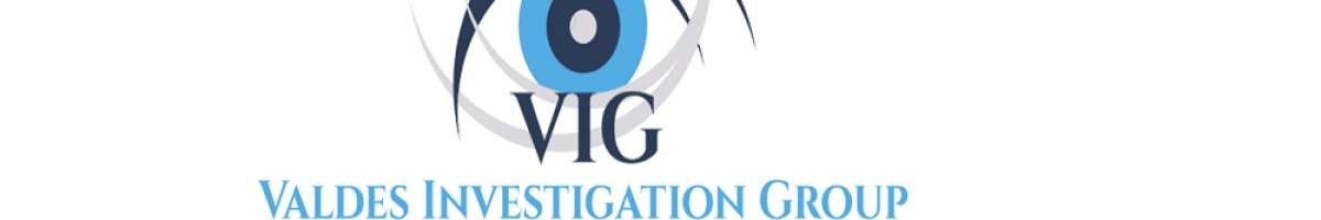 Valdes Investigation Group
