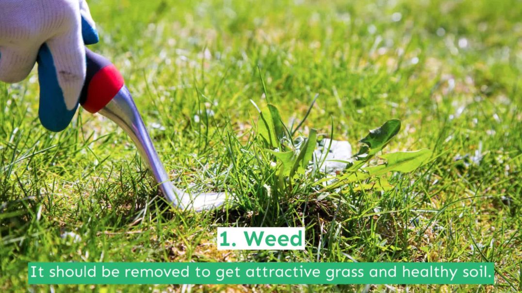 Lawn_Maintanence