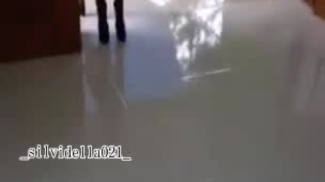 Funny video