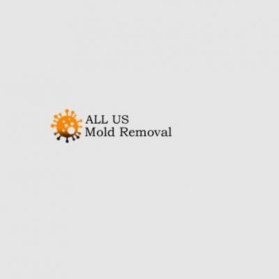 allusmoldremovalmiami