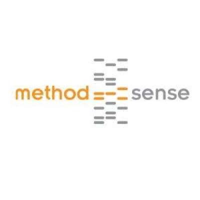 Methodsense