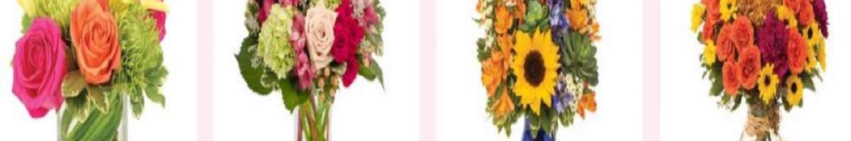 Same Day Flower Delivery