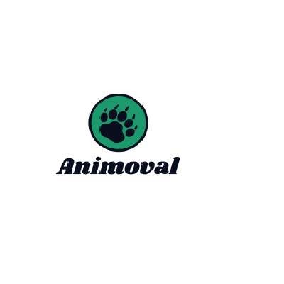 Animoval West Los Angeles