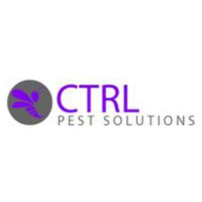 Matthews NC Pest Control Team