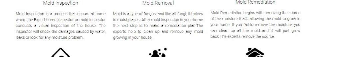 ALL US Mold Removal & Remediation - Plano TX