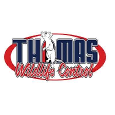 Thomas Wildlife Control