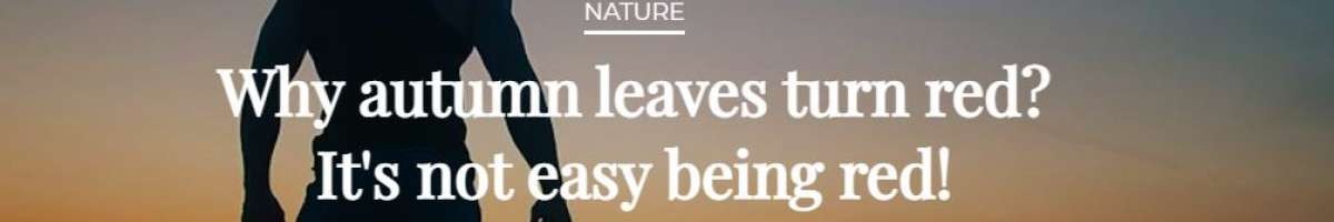 Promising Outlook