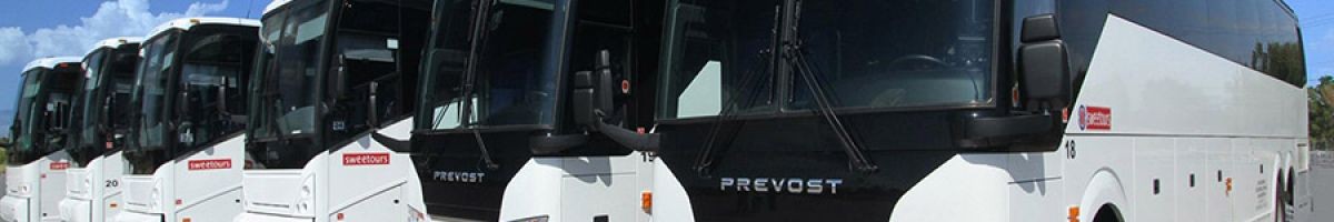 Vegas Tours