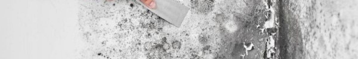 A-Pure Mold Removal Oceanside CA