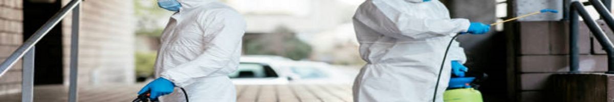 Scuity Bed Bug Exterminator Chicago