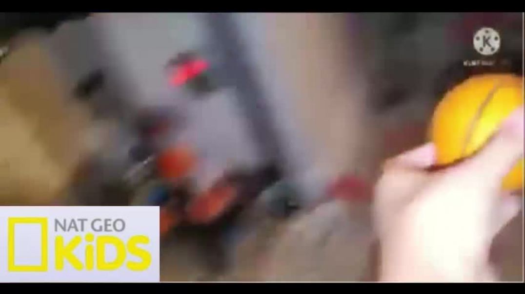 Super Cucumber Show on Nat Geo Kids USA (Jan 13 2022) (Real Not Fake)