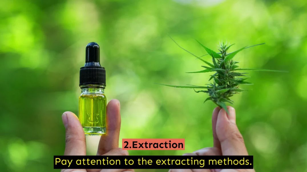 Buy CBD Products For Pets In Online