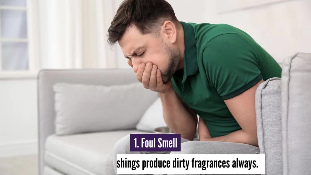 ⁣Improve Home Quality With Upholstery Cleaning