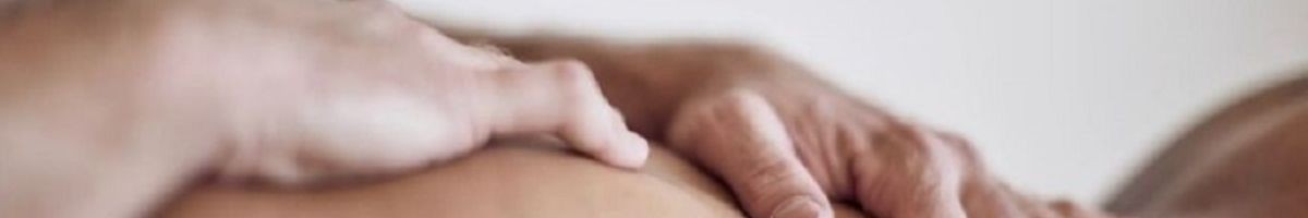 The Body Vox