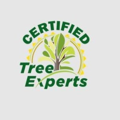 Certified Tree Experts