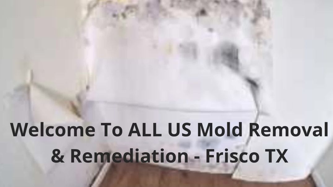 ALL US Mold Removal in Frisco TX