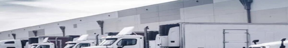 Ecoway Movers Hamilton ON 