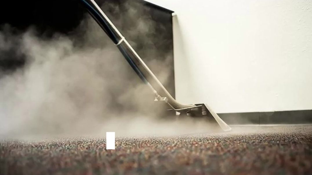 Professional Cleaning Service For Carpets