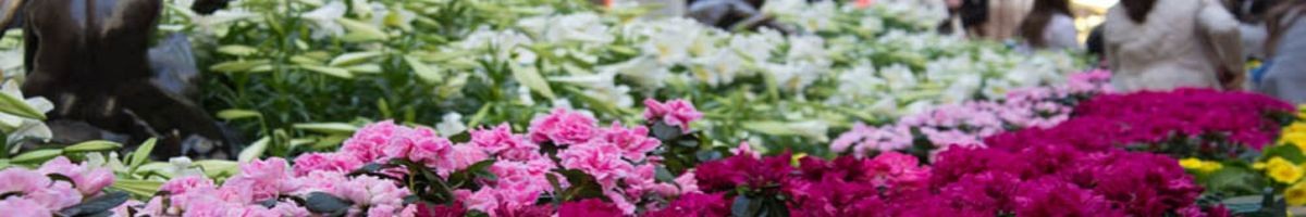 Columbia Midtown Florist