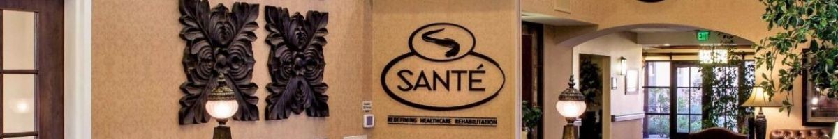 Santé of Surprise