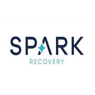 Spark Recovery
