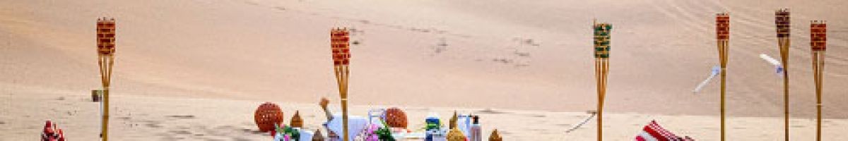 My UAE Tours