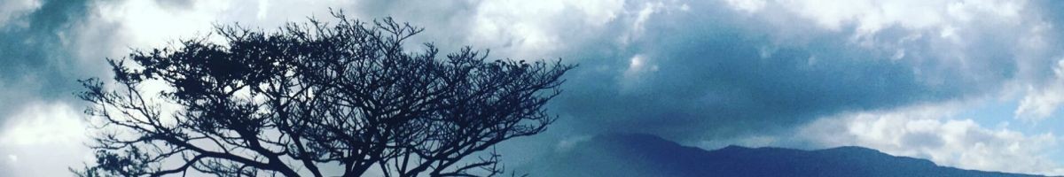Peace Through Grief