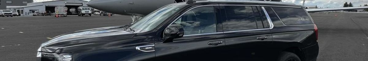 Treasure State Limo