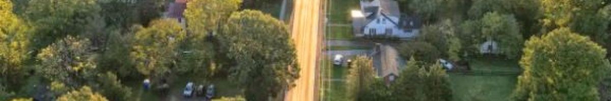 Elevated Tree Care