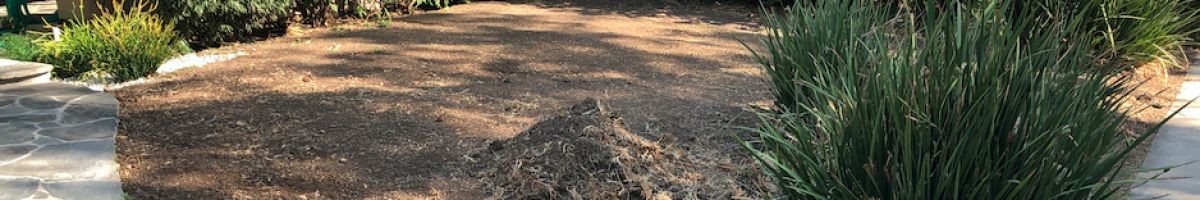 Taylor's Landscape Design