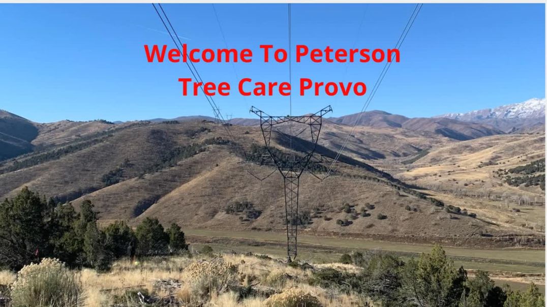 ⁣Peterson Tree Cutting Services in Provo, UT