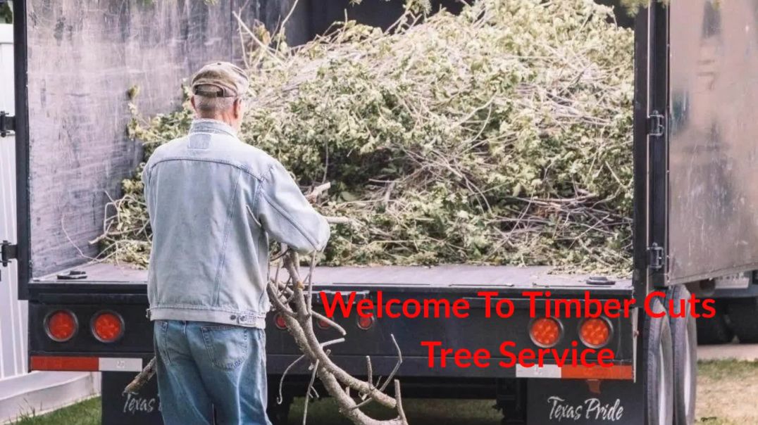 ⁣Timber Cuts Tree Cutting Service in Kaysville, UT | (801) 335-9650